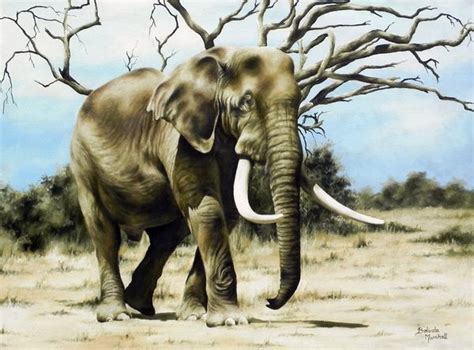 Elephant Oil Painting - SAVEMARI