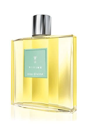 Eau Divine Divine perfume - a fragrance for women and men 2009