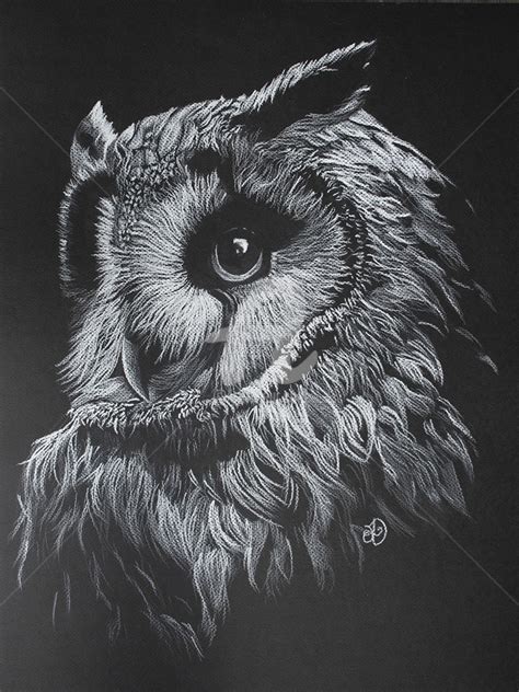 White Owl, Drawing by Audrey Delaye | Artmajeur