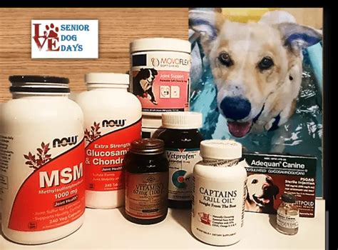 Arthritis Pain Relief for Dogs: What this Owner Uses (Pros & Cons) 9 Reviews: Movoflex Dasuquin ...