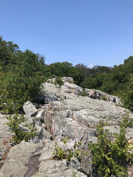 Quartzite that composes the Wolf Rock formation.