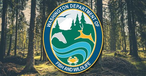 WDFW seeks public comments on 2021-2023 hunting season proposals | KIX 95.3