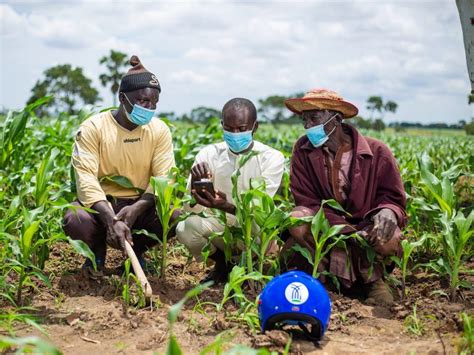 Agriculture in Nigeria: 7 Interesting Facts & Statistics | Babban Gona