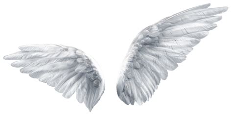 Angel Wings PNG (Overlays) 6 by agusrockforlife on DeviantArt