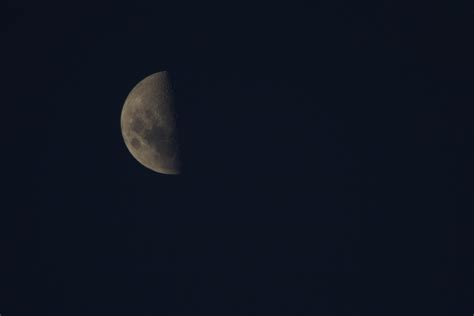 1st Quarter Moon Free Photo Download | FreeImages