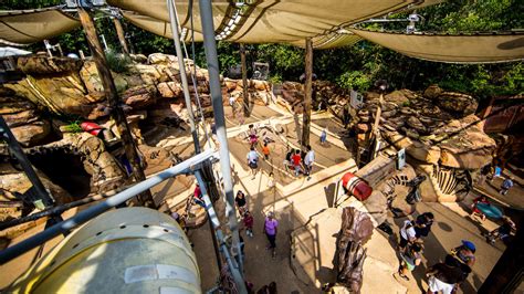 The Boneyard Playground Reopens at Disney's Animal Kingdom