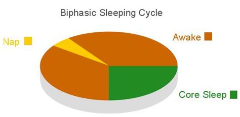 Polyphasic Sleep Cycles - Everything You Need To Know