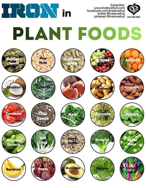 Iron Rich Plant Foods! | Foods with iron, Plant food, Health food