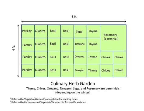 Herb Garden Layout Template