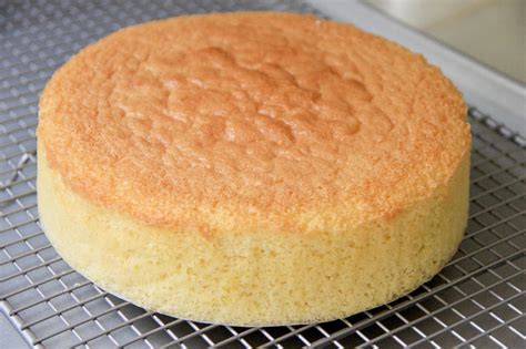 The Best Sponge Cake Recipe For A Birthday Cake Desig - vrogue.co