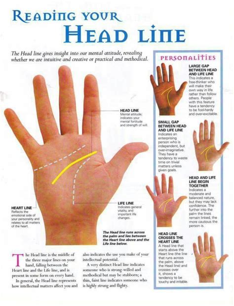 23 best Single Palmar Crease images on Pinterest | Health, Palm reading and Palmistry