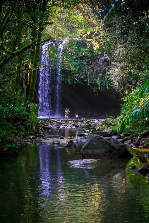 Twin Falls - Maui (Görüntüler ile) | Doğa