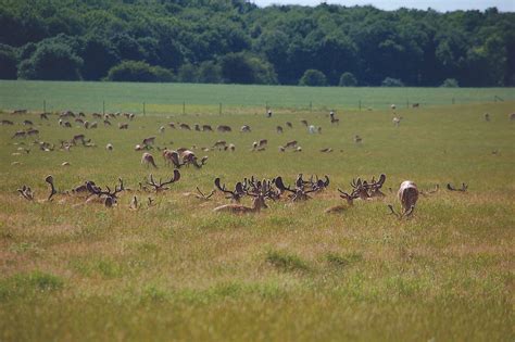 Scout out stunning nature in one of Denmark's National Parks