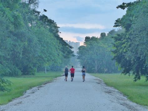 Ludlam Trail | Miami, FL > Street Plans