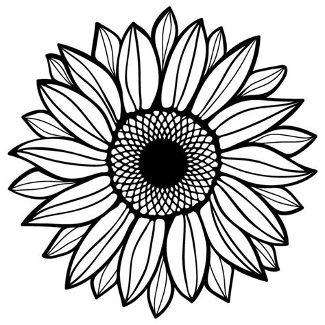 Big Sunflower Coloring Page Coloring Pages