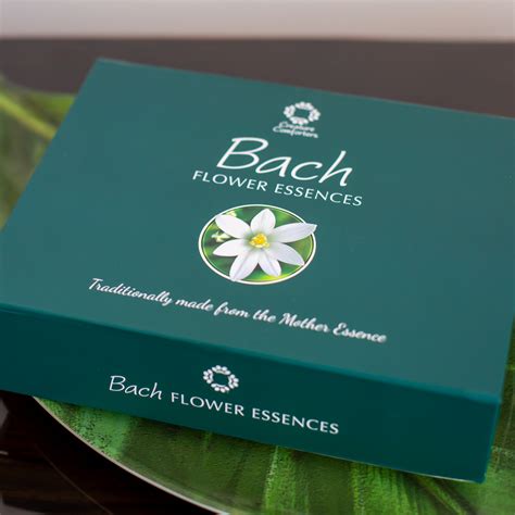 Bach Flower Essences Set. 40 Remedies in a presentation box | Loula ...