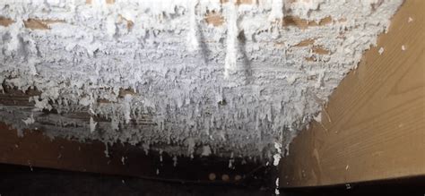 How To Remove Mould From Inside Walls at Donald Woodall blog