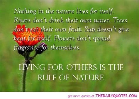 Learning-Living [learning-living.com]: LIFE LESSONS FROM NATURE