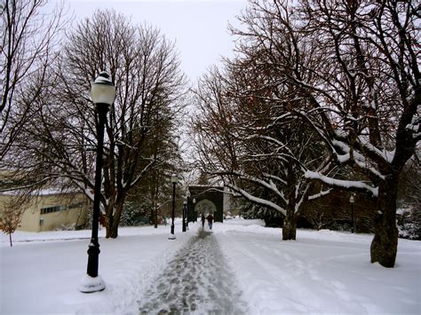 a snowy path between two trees in front of a building