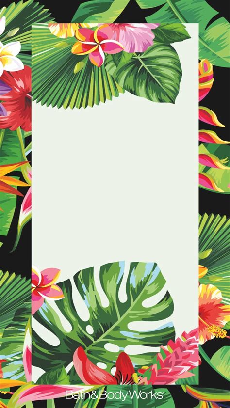 Tropical Flowers Palm Leaves Iphone Wallpaper Also - Tropical Flower Wallpaper Iphone (#503411 ...