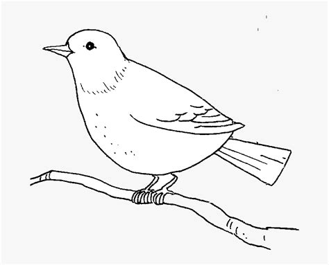 Flying Bird Outline Drawing Clipart - Free to use Clip Art - Clip Art ...