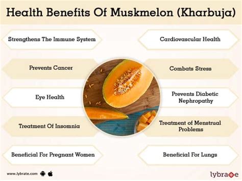 Muskmelon (Kharbuja) Benefits And Its Side Effects | Lybrate