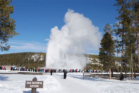 Old Faithful in Winter | Yellowstone vacation, Yellowstone, Yellowstone ...