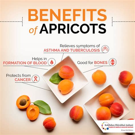 Benefits of Apricots - Health Tips from Kokilaben Hospital