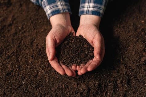 Fertile Soil vs. Productive Soil – What Makes Soil Fertile?