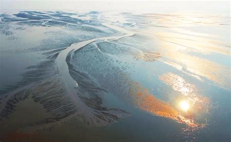 盐城黄海湿地：我国首处滨海湿地类世界自然遗产 - 关注森林