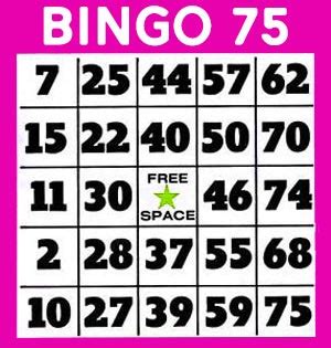 Cartelle Bingo: La Guida Completa ai diversi Tipi di Cartelle