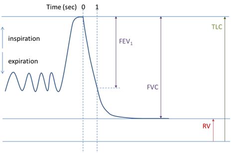 Lung Function - Bronchiectasis