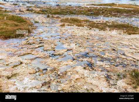 Moist mud hi-res stock photography and images - Alamy