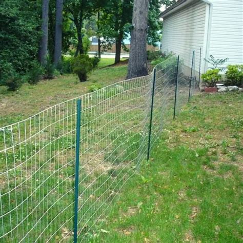 Quick and Easy Dog Fence Ideas | Social Doggy Club