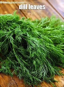 What is Dill Leaves? Glossary | Benefits, Uses, Recipes with Dill Leaves