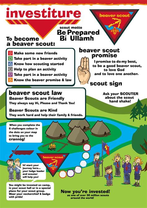 The first step in the Beavers Scouting Journey... | Scout parts, Scout, Beaver scouts