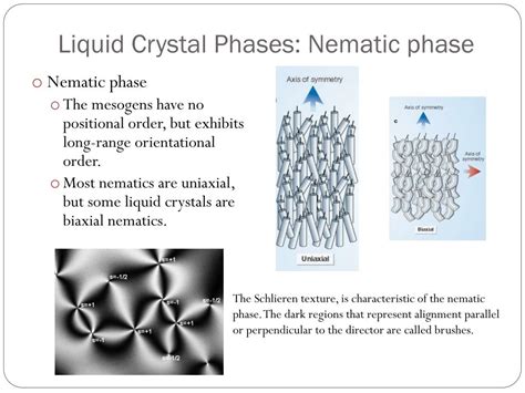 PPT - Liquid Crystal Phases of DNA and Implications for the origin of ...