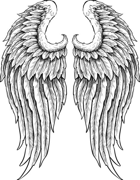 White Angel Wings Drawing