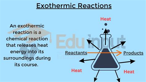 Exothermic Reactions-Characteristics, Identification, and Examples