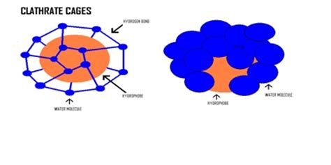 Hydrophobic Effect - Assignment Point