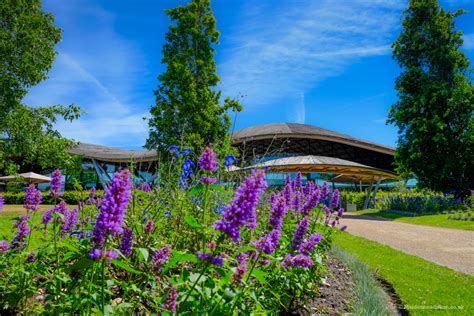 Summer colours at Savill Gardens - Maidenhead Mum