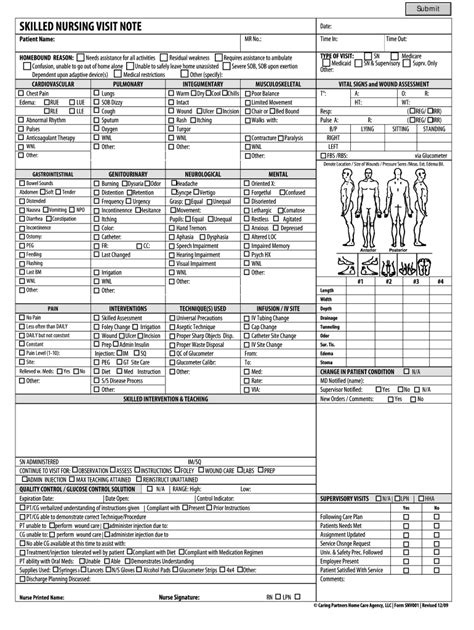 Home Health Skilled Nursing Visit Note Examples - Fill Online ...