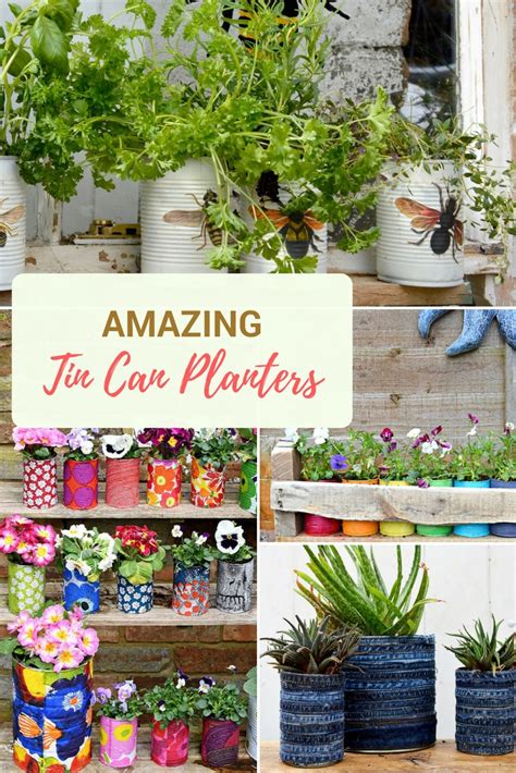 The Best Tin Can Planters You Will Want To Make - Pillar Box Blue