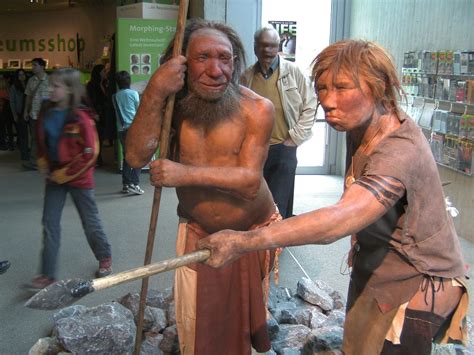 The detected link - Neanderthals, Homo sapiens and Coronavirus - ECOnomarks