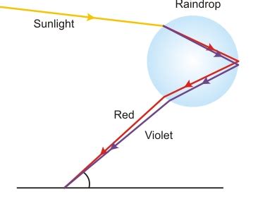 Explain the formation of rainbow in the sky with the help of diagram ...