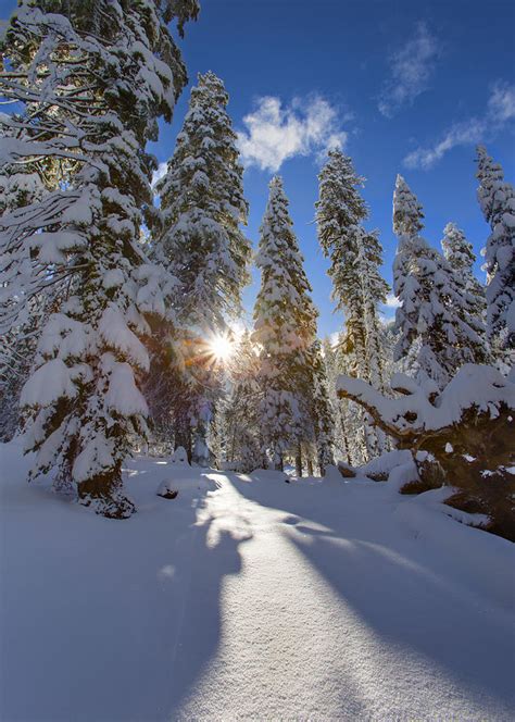 Snowy Sunrise Photograph by Brian Knott Photography - Fine Art America