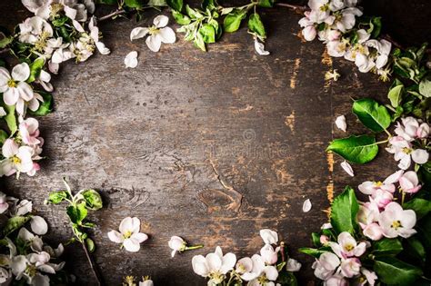 Download free background rustic flower images for your designs