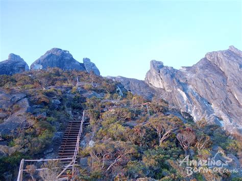 2D1N Mount Kinabalu Climb Package | Summit Low’s Peak - Amazing Borneo Tours