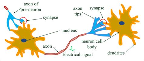 Breaking down the concept of Activation functions in Deep Learning | by ...