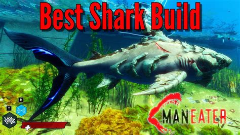 Maneater: The Best Shark Build | Tips4Gamers